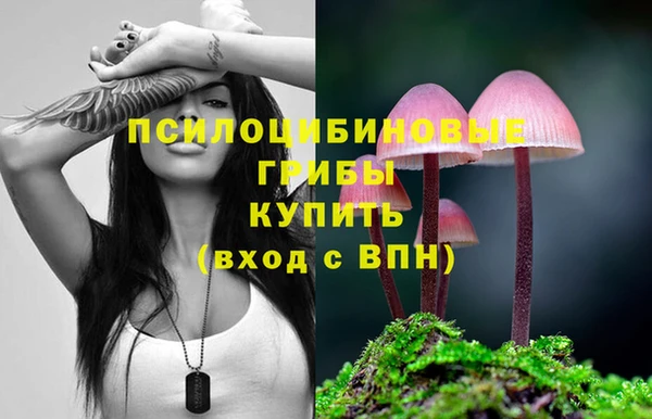 экстази Бронницы